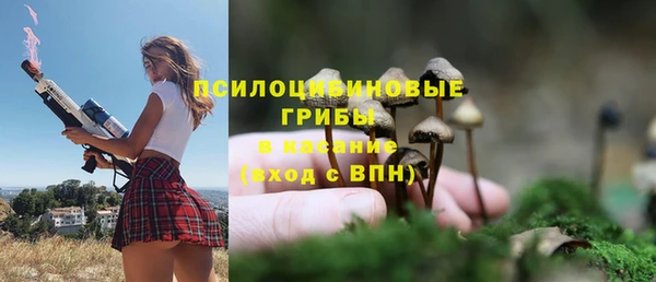 ПСИЛОЦИБИНОВЫЕ ГРИБЫ Балахна