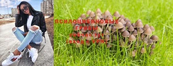 дживик Баксан