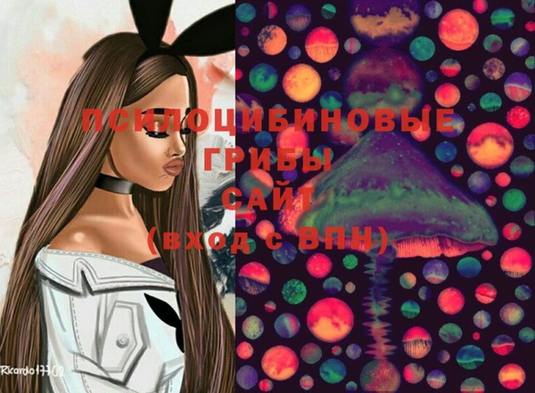ПСИЛОЦИБИНОВЫЕ ГРИБЫ Балахна