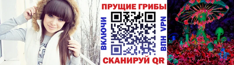 как найти закладки  Луза  Псилоцибиновые грибы ЛСД 